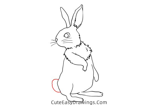 how to draw a rabbit standing - www.cuteeasydrawings.com