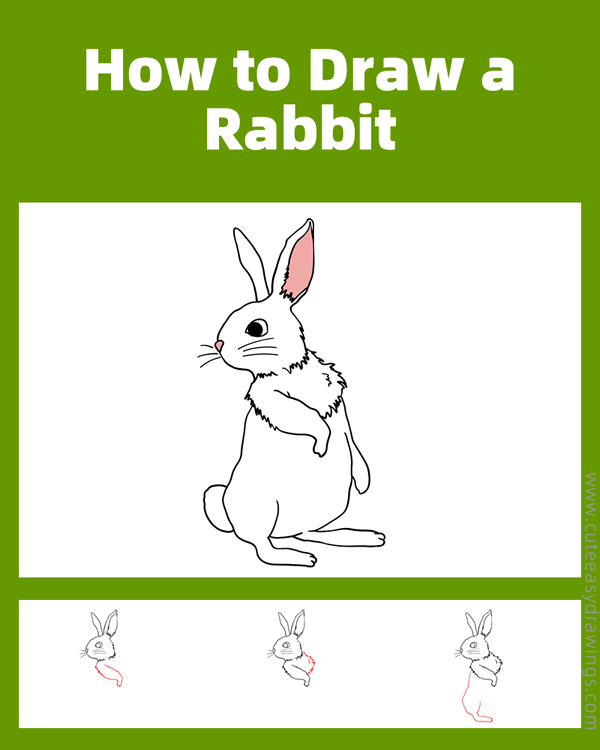 how to draw a rabbit standing - www.cuteeasydrawings.com
