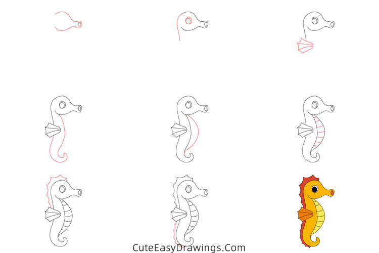 how to draw a cute seahorse - www.cuteeasydrawings.com