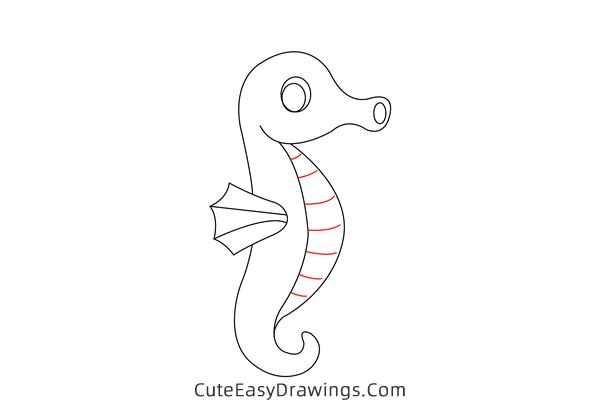 how to draw a cute seahorse - www.cuteeasydrawings.com
