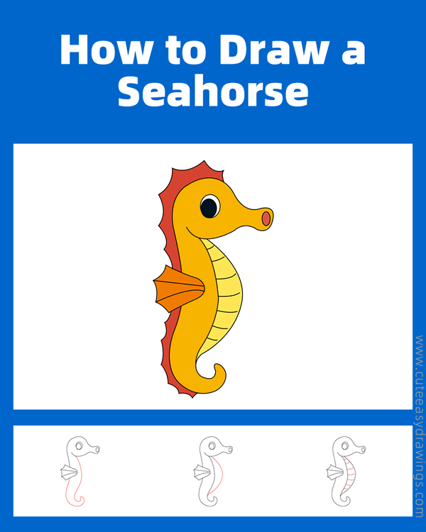 how to draw a cute seahorse - www.cuteeasydrawings.com