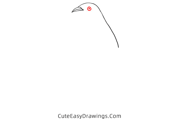 how to draw a simple penguin - www.cuteeasydrawings.com
