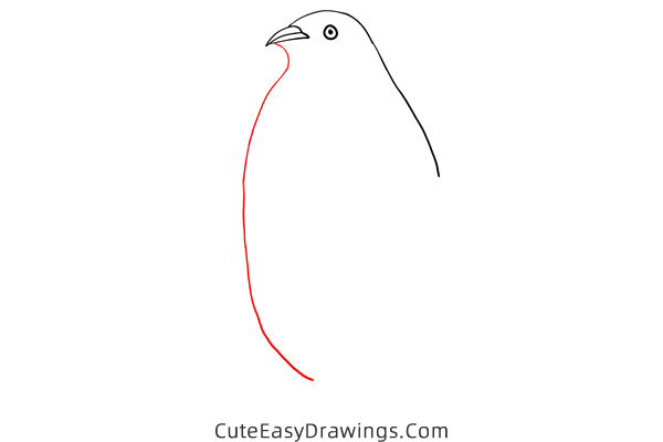 how to draw a simple penguin - www.cuteeasydrawings.com