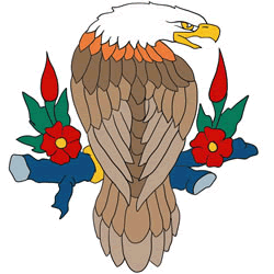 How to Draw an American Eagle Step by Step