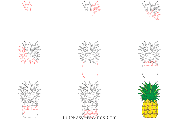 how to draw a pineapple - www.cuteeasydrawings.com