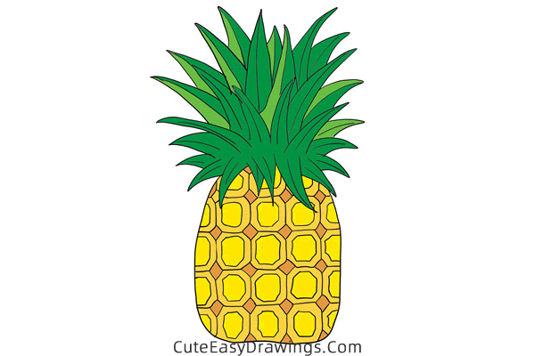 how to draw a pineapple - www.cuteeasydrawings.com