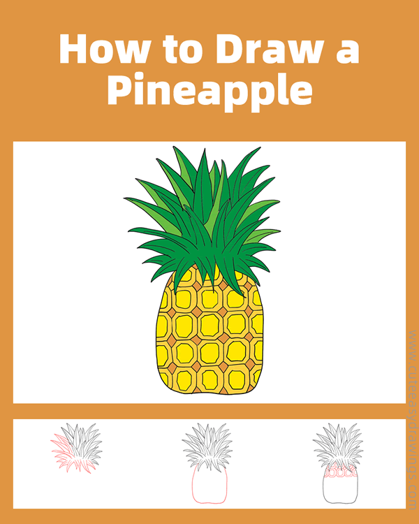 how to draw a pineapple - www.cuteeasydrawings.com
