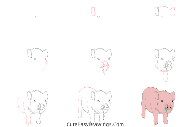how to draw a realistic piglet - www.cuteeasydrawings.com