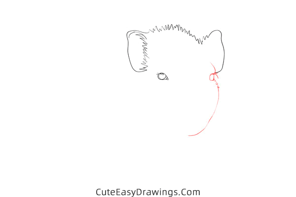how to draw a realistic piglet - www.cuteeasydrawings.com