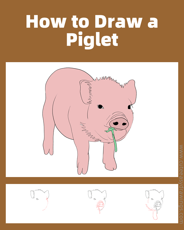 how to draw a realistic piglet - www.cuteeasydrawings.com