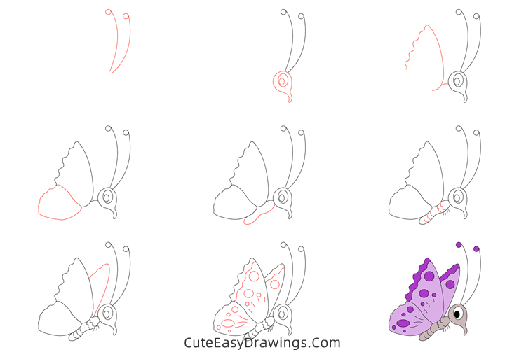how to draw a cute butterfly - www.cuteeasydrawings.com