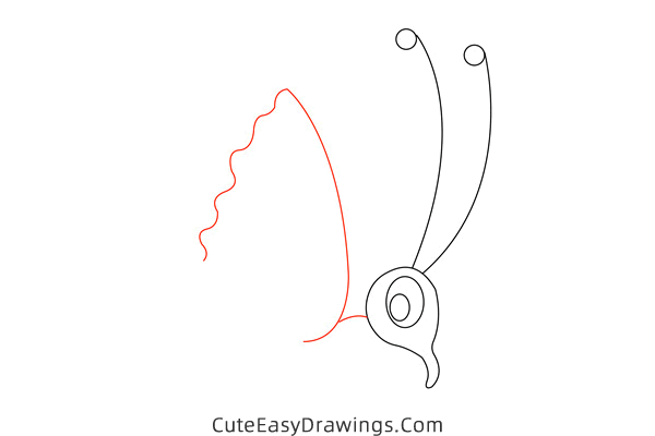 how to draw a cute butterfly - www.cuteeasydrawings.com