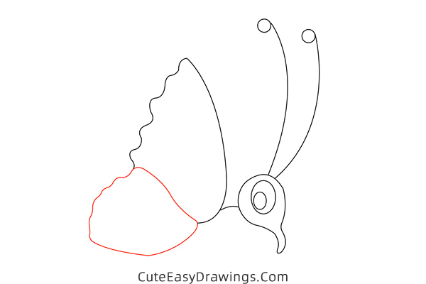 how to draw a cute butterfly - www.cuteeasydrawings.com