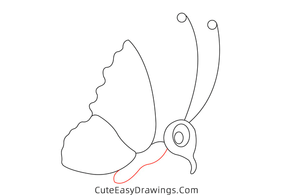 how to draw a cute butterfly - www.cuteeasydrawings.com