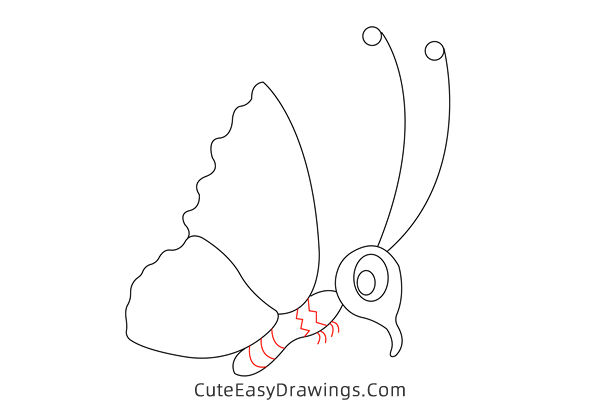 how to draw a cute butterfly - www.cuteeasydrawings.com