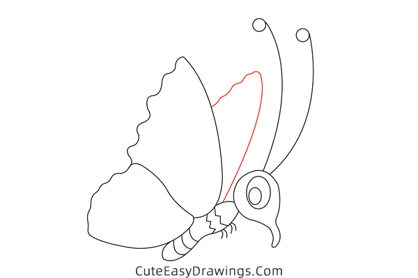 how to draw a cute butterfly - www.cuteeasydrawings.com