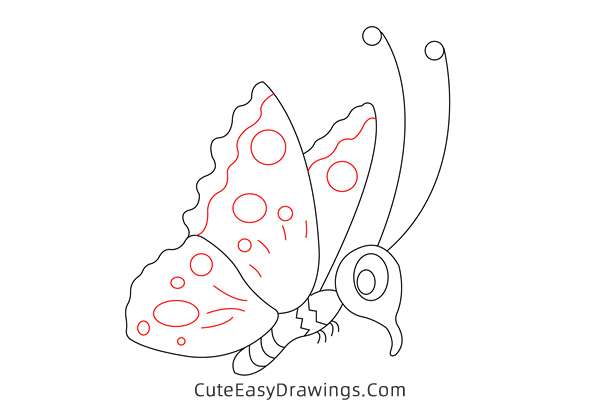 how to draw a cute butterfly - www.cuteeasydrawings.com