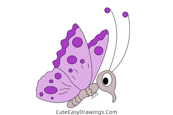 how to draw a cute butterfly - www.cuteeasydrawings.com