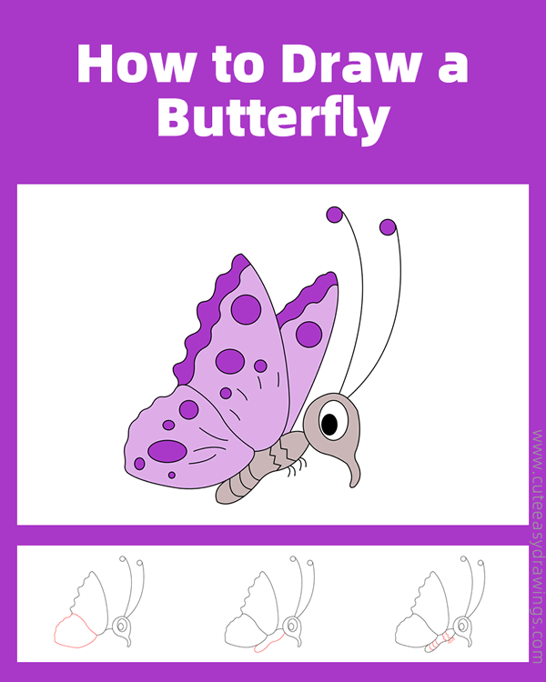 how to draw a cute butterfly - www.cuteeasydrawings.com