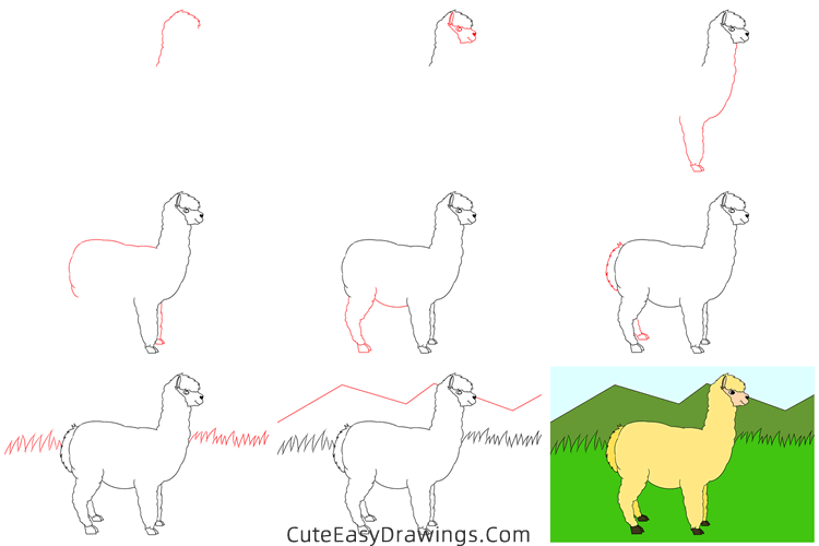 how to draw an alpaca easy - www.cuteeasydrawings.com