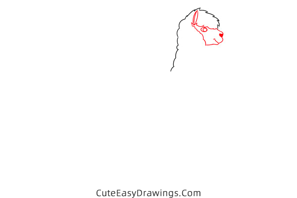 how to draw an alpaca easy - www.cuteeasydrawings.com