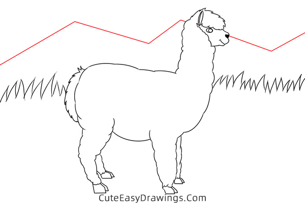 how to draw an alpaca easy - www.cuteeasydrawings.com