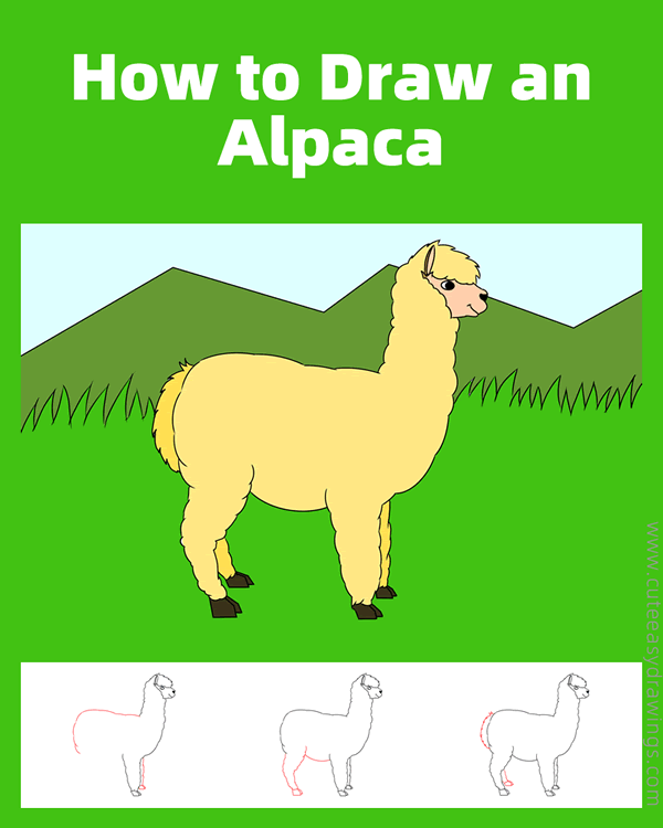 how to draw an alpaca easy - www.cuteeasydrawings.com