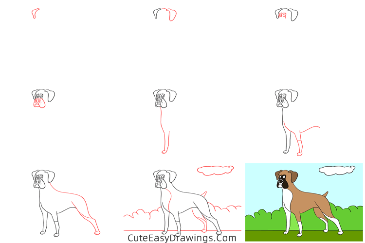 how to draw a boxer dog - www.cuteeasydrawings.com