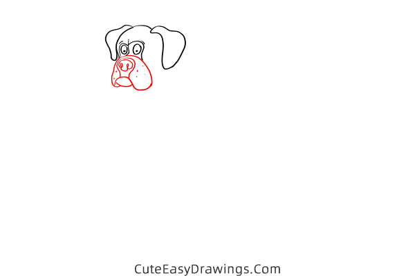 how to draw a boxer dog - www.cuteeasydrawings.com