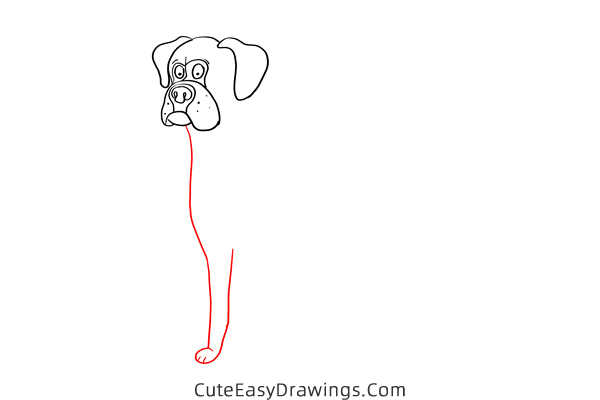 how to draw a boxer dog - www.cuteeasydrawings.com