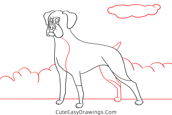 how to draw a boxer dog - www.cuteeasydrawings.com