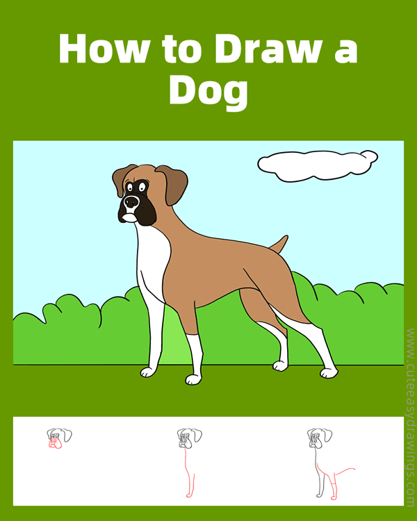 how to draw a boxer dog - www.cuteeasydrawings.com