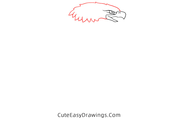 how to draw an american eagle - www.cuteeasydrawings.com
