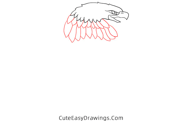 how to draw an american eagle - www.cuteeasydrawings.com