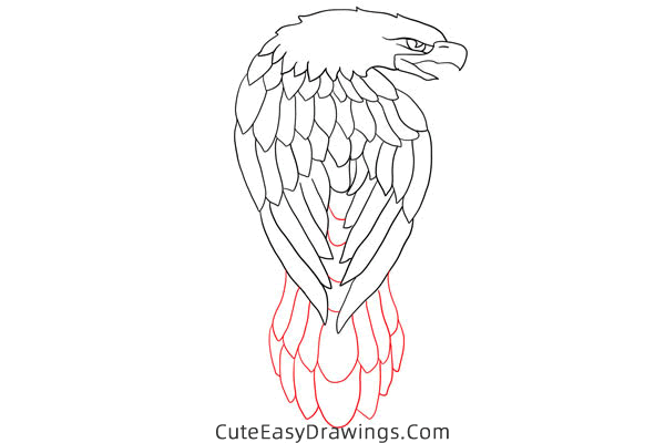 how to draw an american eagle - www.cuteeasydrawings.com
