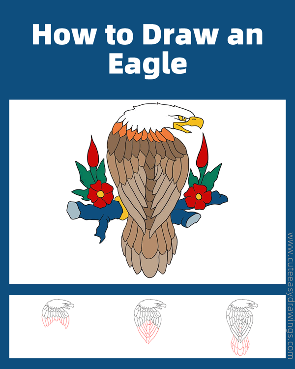 how to draw an american eagle - www.cuteeasydrawings.com