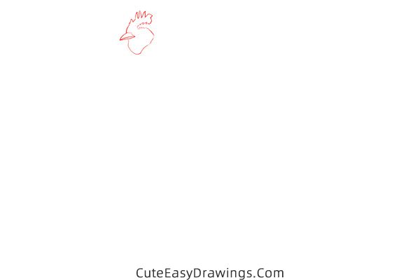 how to draw a realistic rooster - www.cuteeasydrawings.com