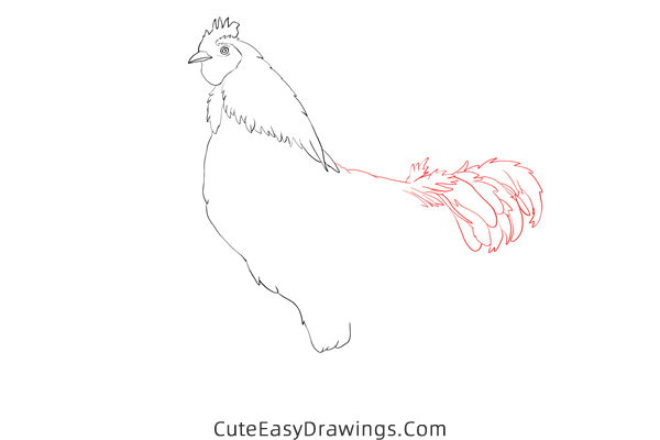 how to draw a realistic rooster - www.cuteeasydrawings.com