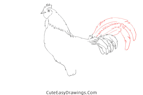 how to draw a realistic rooster - www.cuteeasydrawings.com