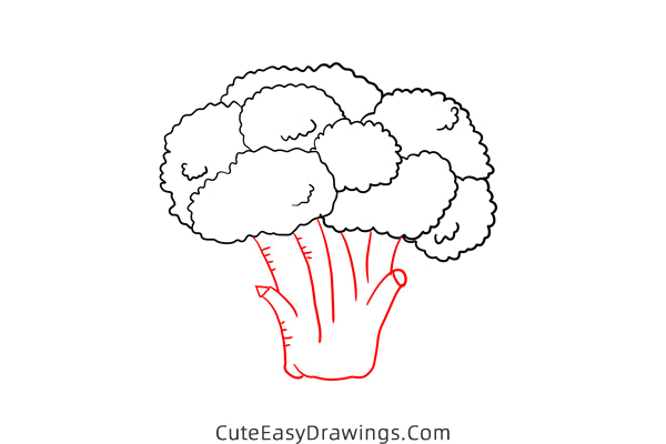 how to draw a broccoli - www.cuteeasydrawings.com