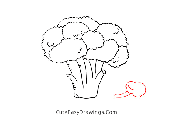 how to draw a broccoli - www.cuteeasydrawings.com