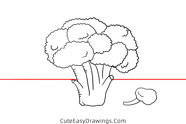 how to draw a broccoli - www.cuteeasydrawings.com
