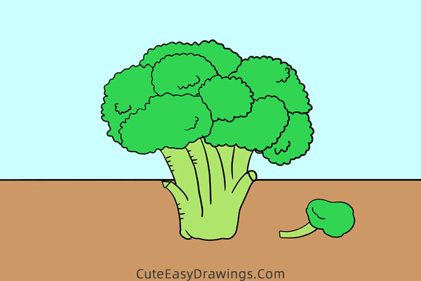 how to draw a broccoli - www.cuteeasydrawings.com