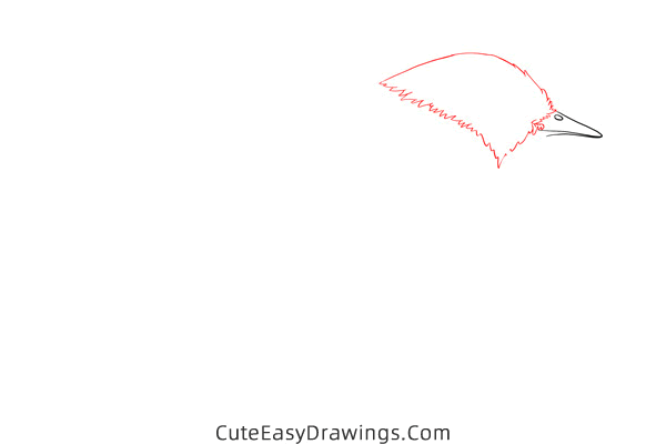 how to draw a nightingale - www.cuteeasydrawings.com