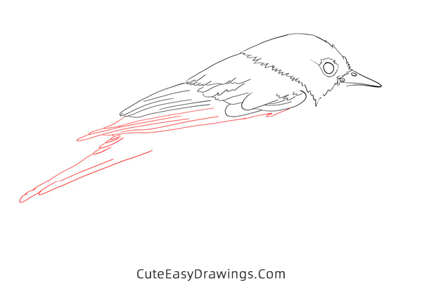 how to draw a nightingale - www.cuteeasydrawings.com