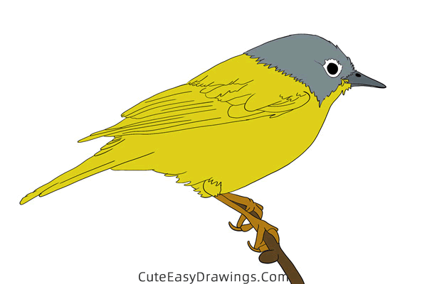 how to draw a nightingale - www.cuteeasydrawings.com