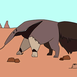 How to Draw an Anteater Easy Step by Step