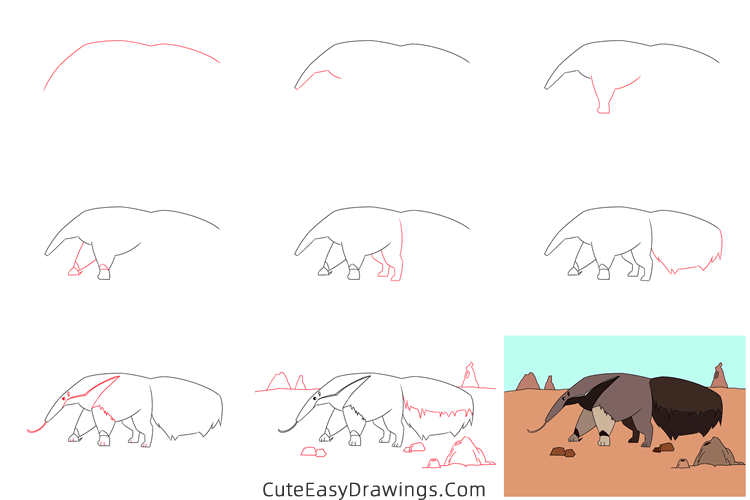 how to draw an anteater easy - www.cuteeasydrawings.com