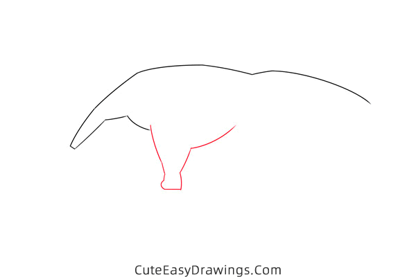 how to draw an anteater easy - www.cuteeasydrawings.com