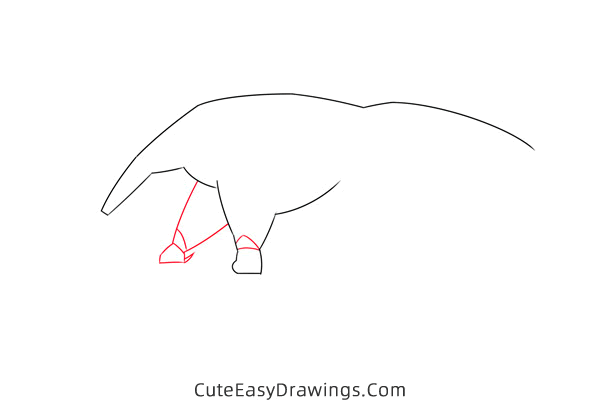 how to draw an anteater easy - www.cuteeasydrawings.com